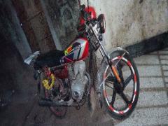 Dayun Roebuck